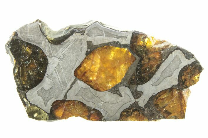 Brenham Pallasite Meteorite ( g) Slice - Kansas #263133